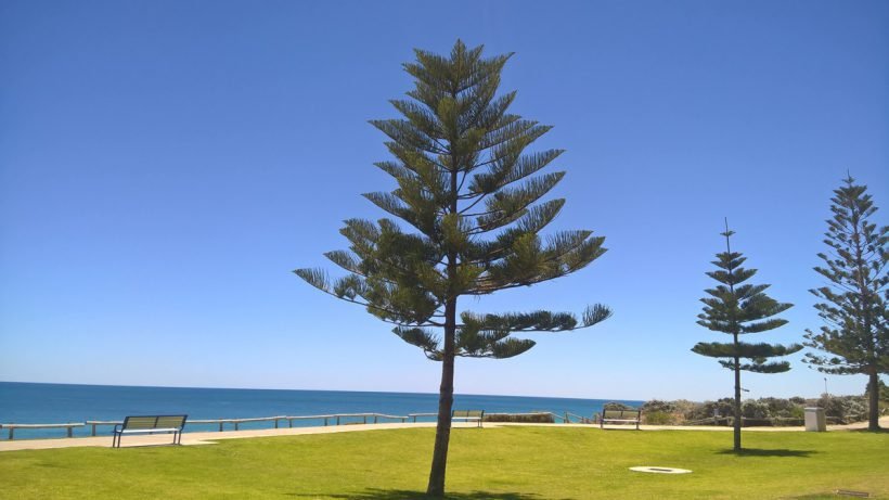 Studijos Australijoje, Australija, Kelionės Australijoje, Darbas Australijoje