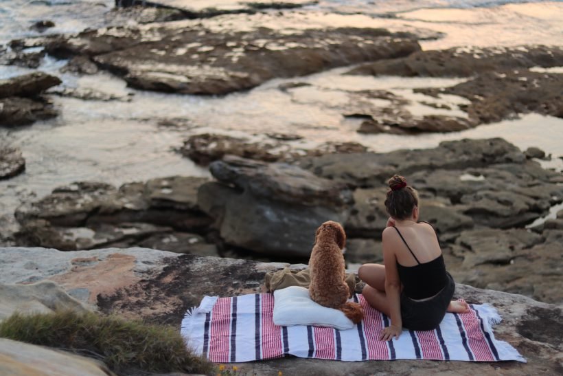 Studijos Australijoje Australija, Australia, Bondi Bubble, youth travels, jaunimo kelionės, Sydney, whales, dog, beach, ocean, travel, surfing, photography, tim tam, bay