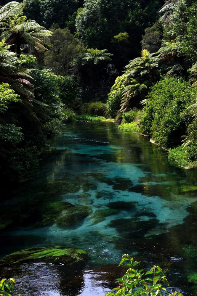 N. Zelandija Jaunimo keliones, youth travels, Naujoji Zelandija, New Zealand, travelers, mountains, van, clifts, river, lake
