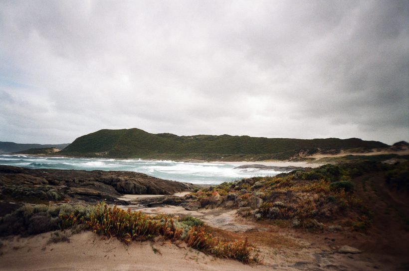 Studijos Australijoje Juanimo keliones, youth travels, Australia, Studijos Australijoje, ocean, beach, kangaroo, hiking, surfing, mountains