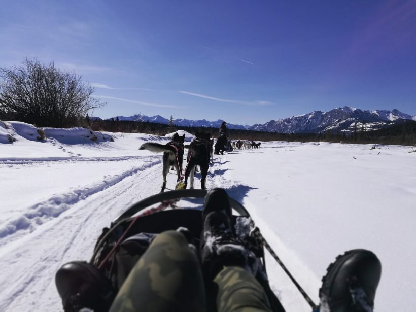 kanada, Canada, wok and holiday,snow, mountains, snowboarding, roe, sled, jaunimo keliones, youth travels, traveling, keliones, keliautojai, lietuviai, lithuanians 