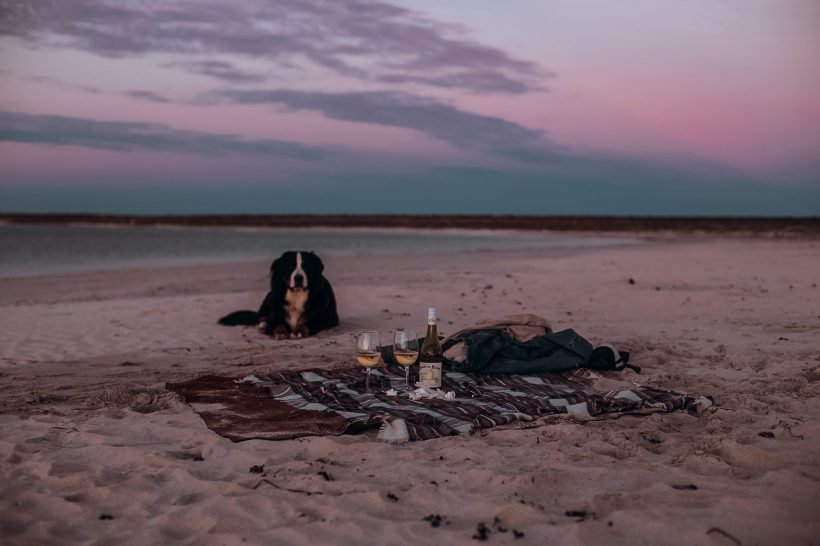 Jaunimo kelionės, youth travels, Australija, Australia, Kalbarri, nature, gamta, dykuma, camping, wildlife, clifts, ocean