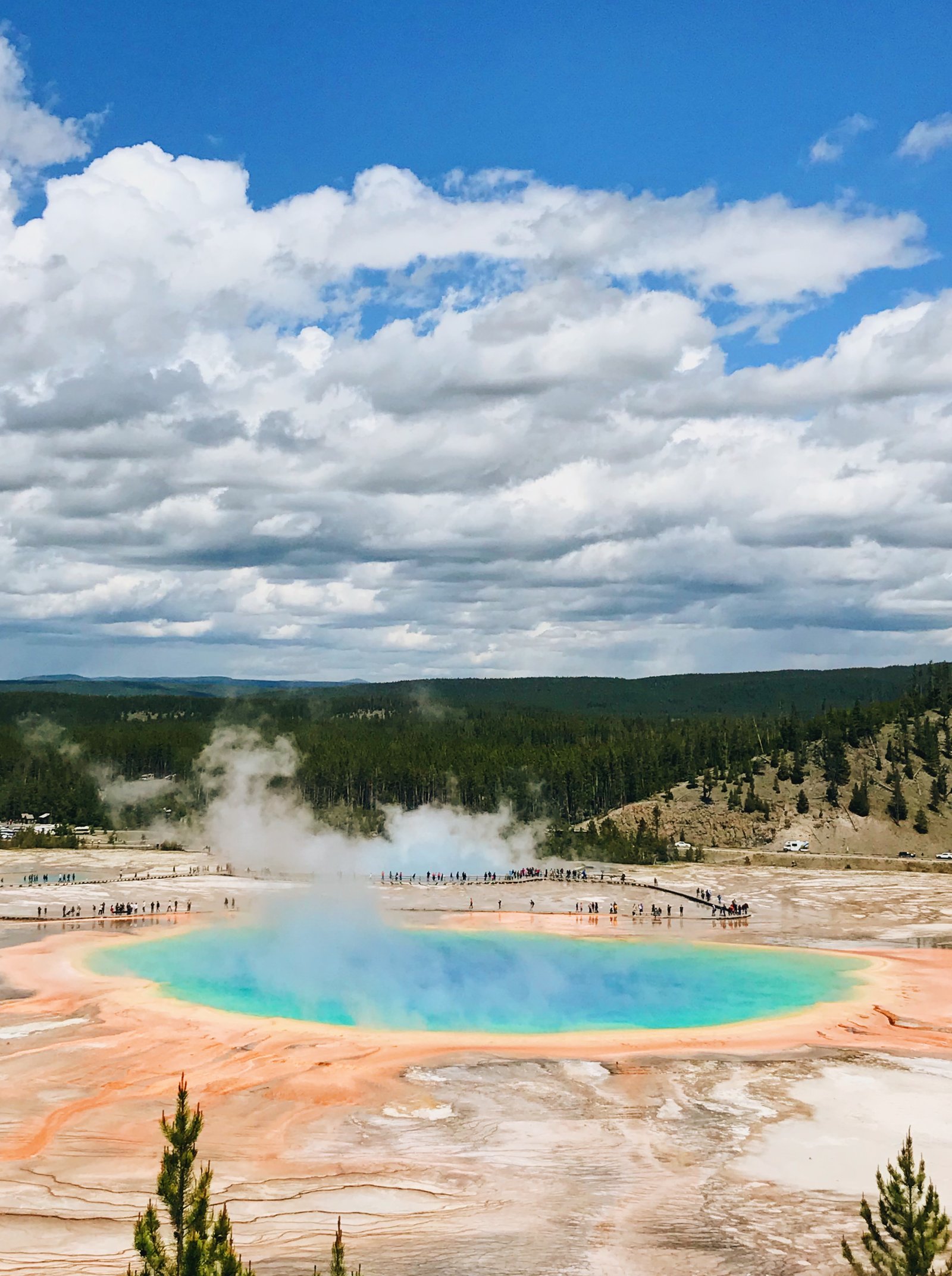 Work and Travel USA, Jaunimo kelionės, Studentų programa JAV, Yellowstone nacionalinis parkas